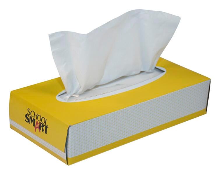 School Smart 2-Ply Facial Tissues, 100 Count, White 2000691